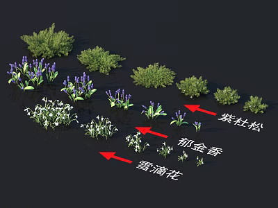 Collection of Purple Juniper Tulip and Snowdrop Flowers and Green Plants 3d model
