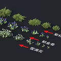 Collection of Purple Juniper Tulip and Snowdrop Flowers and Green Plants