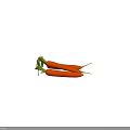 Fresh Carrots With Green Leafy Tops And Bright Orange Color On Dark Background