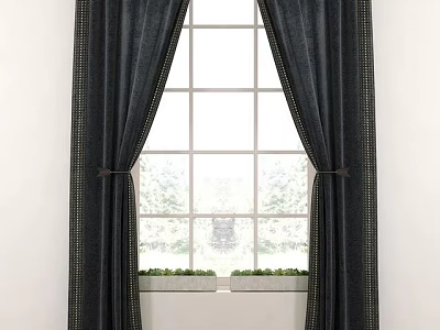 Dark Curtains with Gold Trim Tied Back at Grid Window with Small Plants on Sill 3d model