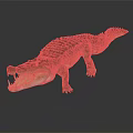 Realistic Crocodile 3D Model With Detailed Skin Texture Open Mouth Sharp Teeth Dark Background Reflection 3d model