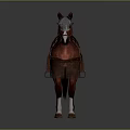 Medieval Rider With Brown Horse In Ornate Tack Saddle Bridle And White Legs