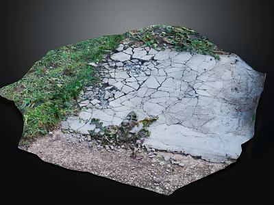 Natural Cracked Gray Stone Surface With Green Grass Small Plants Soil And Gravel 3d model