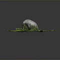 Natural Outdoor Scene With Large Rock On Green Grass And Small Plants