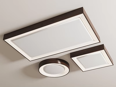 Modern Ceiling Lights Set With Rectangular And Circular Design Dark Frame White Shade 3d model