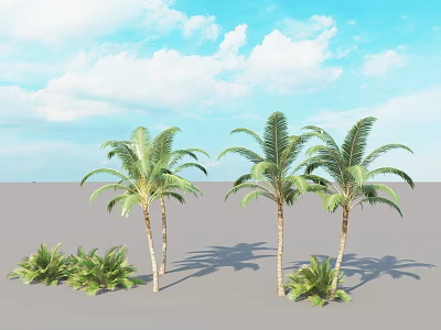 Palm Trees With Green Fronds And Shrubs On Gray Ground Under Blue Sky White Clouds 3d model