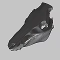 Animal Skull Fossil Skeleton With Prehistoric Bone Structure And Anatomical Features 3d model