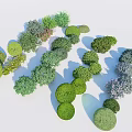 Diverse Shaped And Colored Shrubs For Garden Landscaping And Decoration