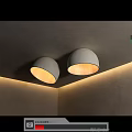 Decorative ceiling lamp 3d model