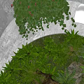 Modern Indoor Landscape With Concrete Wall Hanging Greenery Large Plants And White Chair