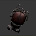 Shiny Red And Black Beetle With Large Pincers Displayed On Dark Background