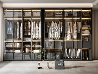 Modern Walk-in Closet With Glass Doors Hanging Clothes Storage And LED Lighting 3d model