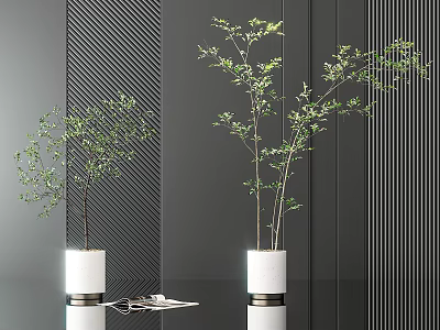Bonsai Plants in White Pots for Modern Interior Home Decor with Black Striped Wall 3d model