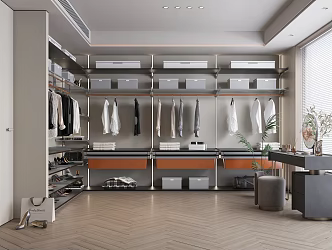 Modern Style Cloakroom Wardrobe Wall Hanging Cloakroom Dressing Table and Chair Handbag Clothes Carpet Green Plant 3d model
