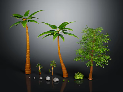 Various Types of Trees Including Palm Trees and Leafy Tree with Small Saplings and Stones 3d model