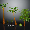 Various Types of Trees Including Palm Trees and Leafy Tree with Small Saplings and Stones