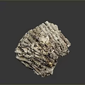 Aquatic Animals Habitat Showcasing Natural Porous Pale Grayish White Coral Stone Structure