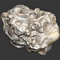 Natural Stone Specimen With Shell Imprints And Rough Light Beige Surface 3d model