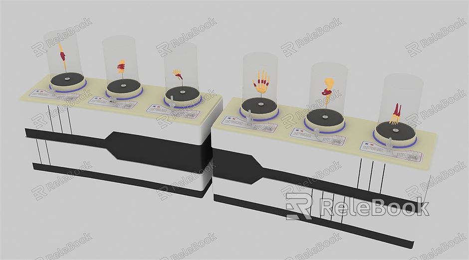 Modern Human Organ Interactive Mould Table model