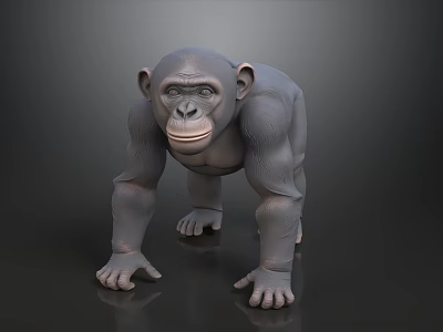 Realistic Chimpanzee 3D Model in Natural Standing Pose with Detailed Features 3d model