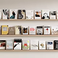 Modern Books and Magazines Book Combination Wall Hanging Bookshelf Extracurricular Book Ornaments 3d model