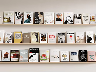 Modern Books and Magazines Book Combination Wall Hanging Bookshelf Extracurricular Book Ornaments 3d model