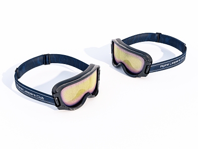 Ski goggles model