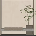 Minimalist Interior Corner With Beige Wall Stone Bench And Green Plant In Square Pot