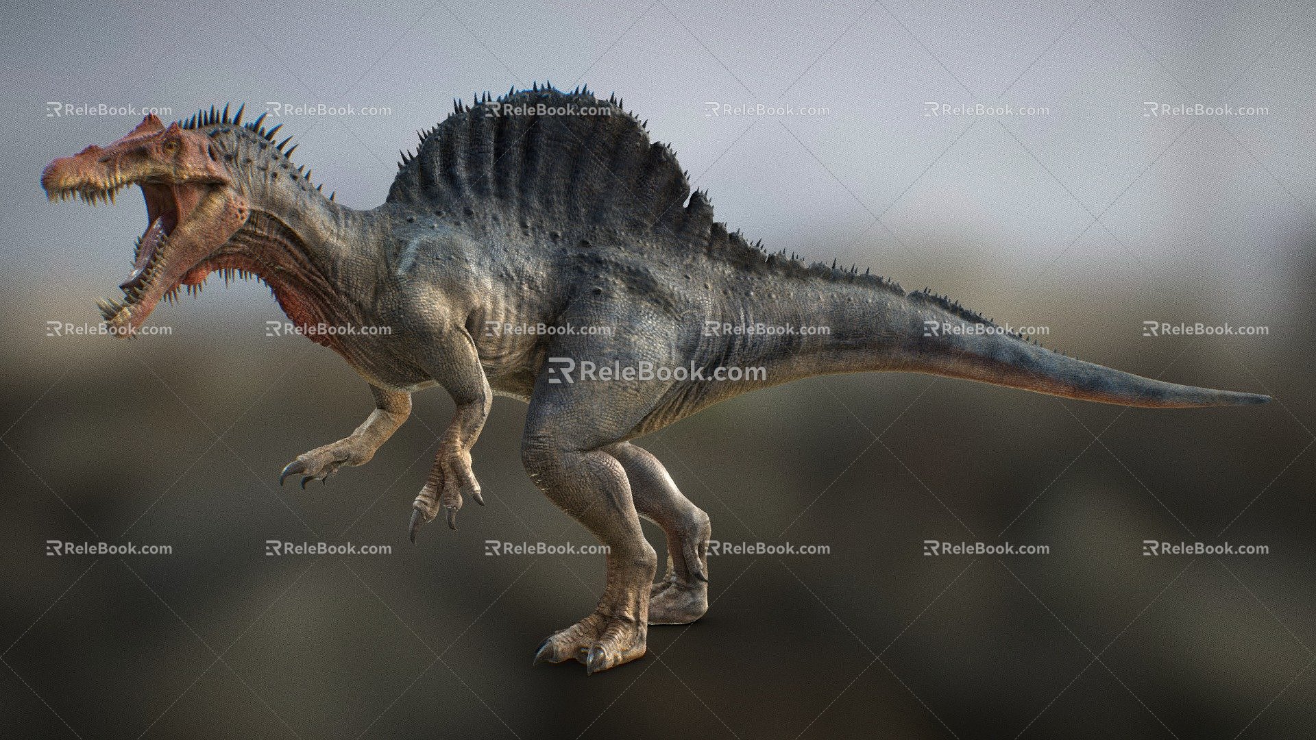 Modern dinosaur Spinosaurus 3d model