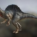 Modern dinosaur Spinosaurus 3d model