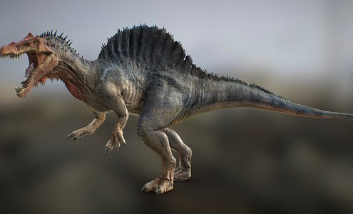 Modern dinosaur Spinosaurus 3d model