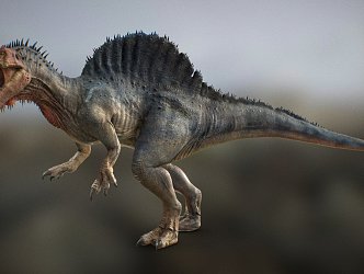 Modern dinosaur Spinosaurus 3d model