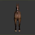 Brown Horse Standing With Open Mouth On Gray Background In Lifelike Pose