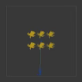 Three Different Height Palm Trees Showing High Medium Low Sizes in Black Background