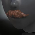 Realistic Gray Model Head with Detailed Nose and Brown Curly Mustache