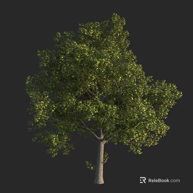 Lush Green Shrub With Dense Foliage And Small Fruits On Dark Background 3d model 