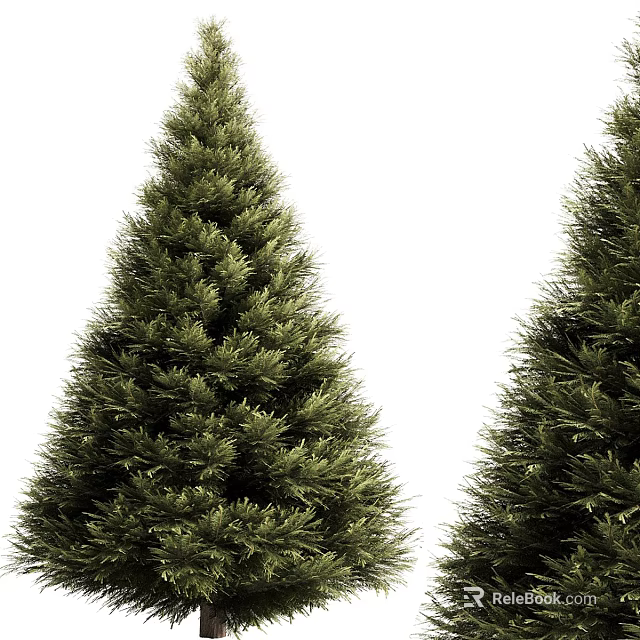 Tree Pit with Lush Green Evergreen Pine Trees in Landscaping Design 3d model 