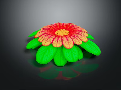 Vibrant Decorative Flowering Plant with Red and Yellow Petals and Green Leaves 3d model