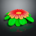 Vibrant Decorative Flowering Plant with Red and Yellow Petals and Green Leaves