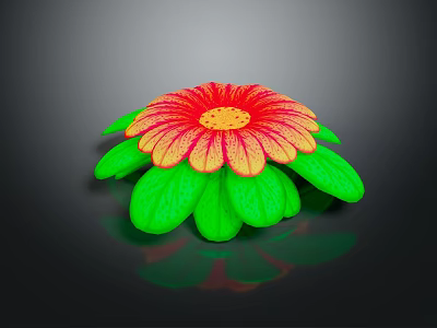 Vibrant Decorative Flowering Plant with Red and Yellow Petals and Green Leaves 3d model