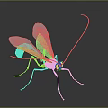 Orange Red Insect With Transparent Wings And Long Antennae On Dark Background