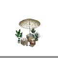 Natural Art Installation Featuring Straw Umbrella Green Plants Wooden Crates And Seashells