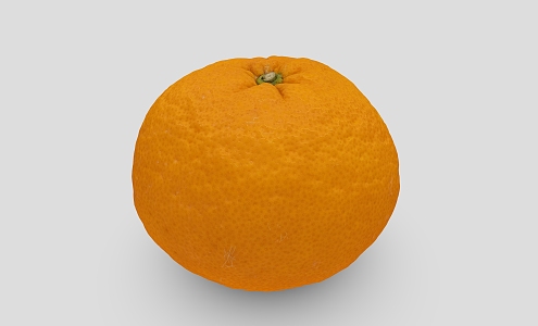 Orange Citrus Sugar Orange Fruit 3d model