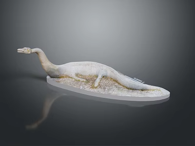 Prehistoric Plesiosaur Model With Long Neck On Transparent Base 3d model
