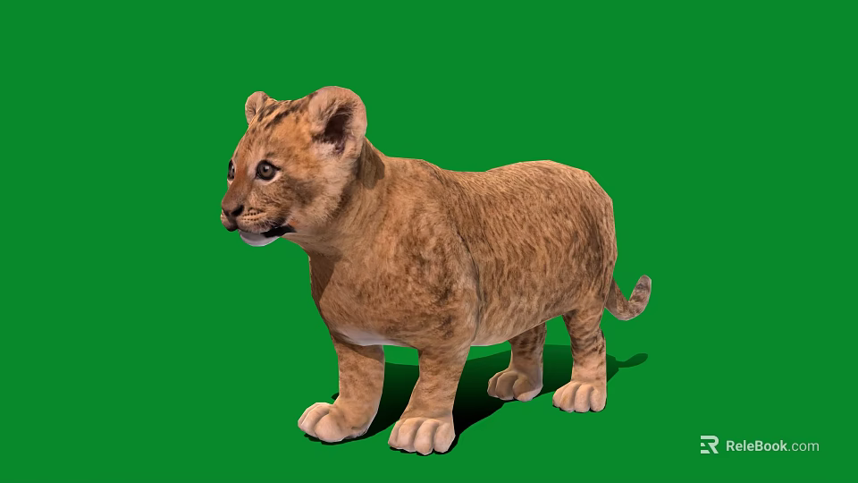 Cute Lion Cub Standing on Green Background with Soft Fur and Alert Expression 3d model 