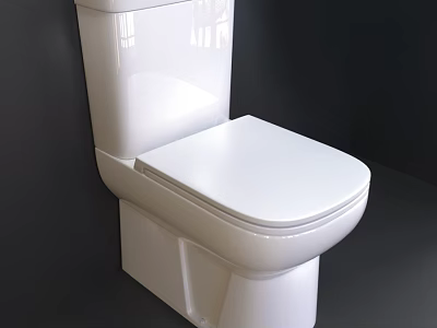 Modern White Ceramic Toilet with One Piece Design Smooth Surface and Comfortable Seat 3d model