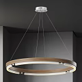 Modern Circular Pendant Light With Wooden Frame And White Inner Ring In Gray Ceiling Interior 3d model