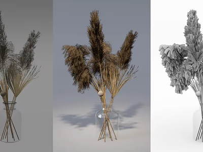 Minimalist Transparent Glass Vase With Dried Pampas Grass Reeds Home Decor 3d model