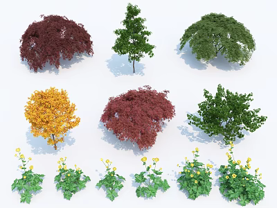 Various Arbor Species With Red Green Yellow Foliage And Different Crown Shapes 3d model