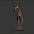 Standing Sphynx Cat With Hairless Body And Slender Build On Dark Background With Reflection